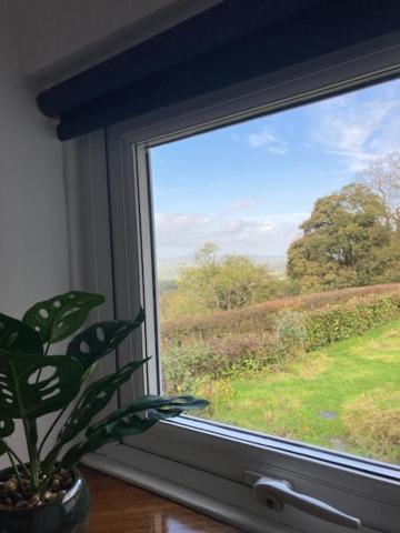 Trinity Cottage Welshpool Zewnętrze zdjęcie