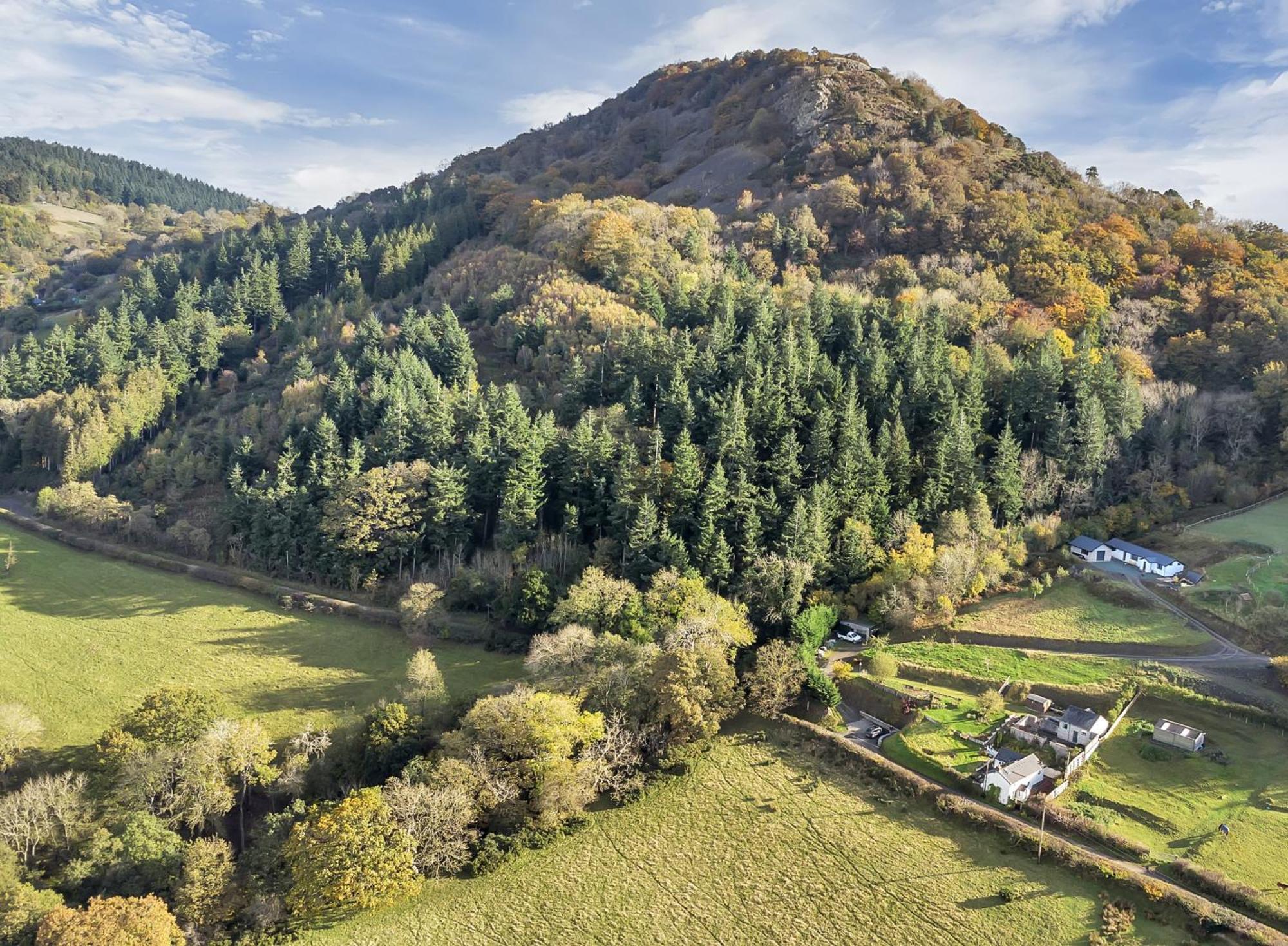Trinity Cottage Welshpool Zewnętrze zdjęcie